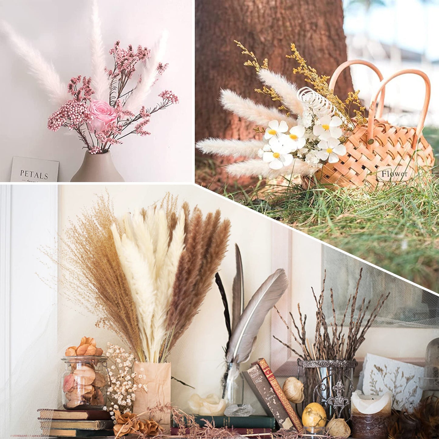 Torkat Pampasgräs - Naturliga Torkade Blommor, Bruna、Vita Pampasgräs Fluffiga blad, Lagurus Och Sedge Torkade Blommor Bukett Torkade Blommor för Blomsterarrangemang Heminredning