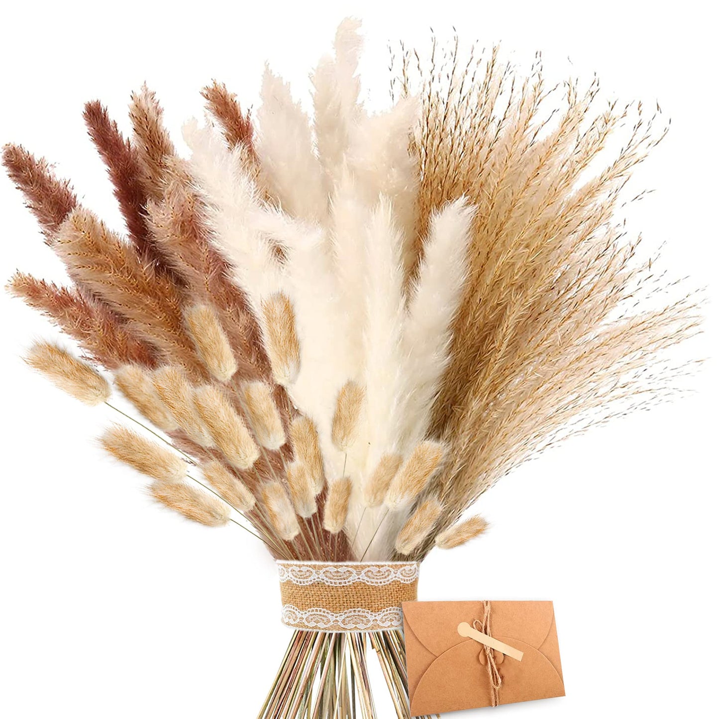 Torkat Pampasgräs - Naturliga Torkade Blommor, Bruna、Vita Pampasgräs Fluffiga blad, Lagurus Och Sedge Torkade Blommor Bukett Torkade Blommor för Blomsterarrangemang Heminredning