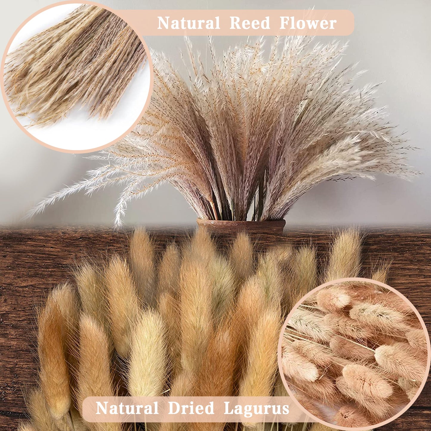 Torkat Pampasgräs - Naturliga Torkade Blommor, Bruna、Vita Pampasgräs Fluffiga blad, Lagurus Och Sedge Torkade Blommor Bukett Torkade Blommor för Blomsterarrangemang Heminredning