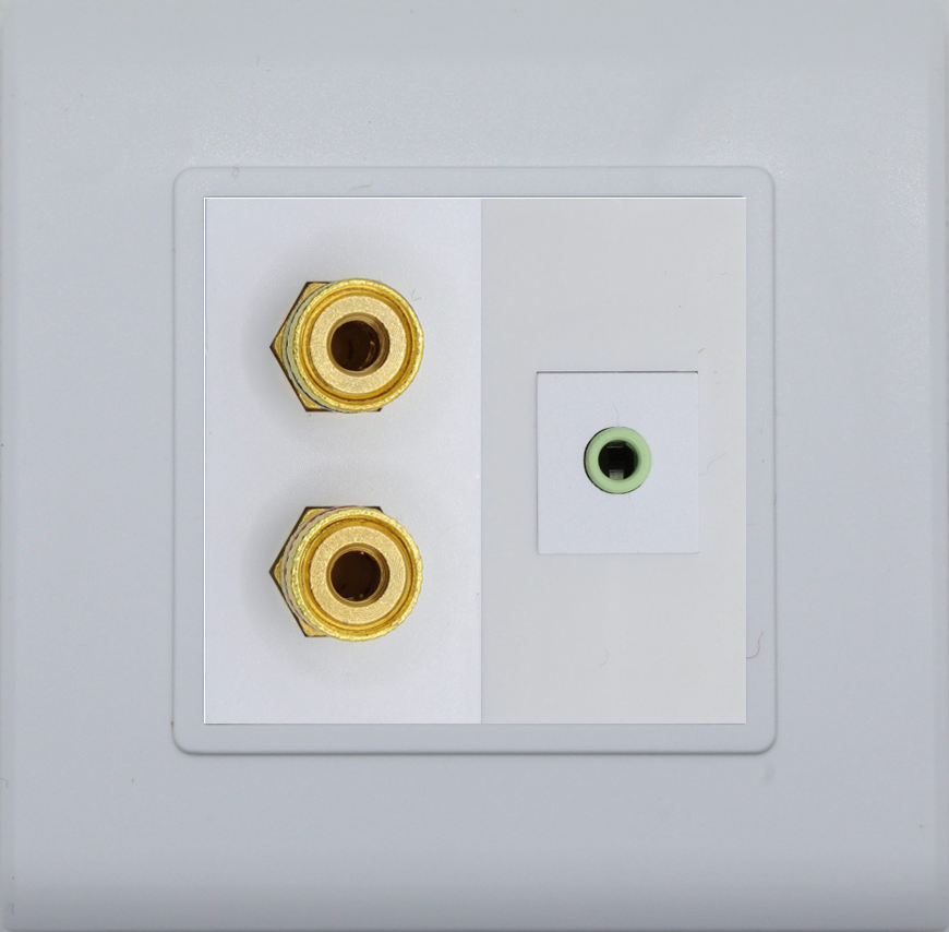 Custom Wall Plate with Banana Port (Red) & Banana Port (Black) & 3.5mm Jack