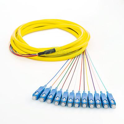 OS2 - Singlemode (9/125) - 12 Strand - Fiber Optic Pigtail - SC/UPC - Riser Jacket