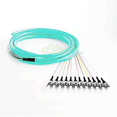 OM3 - 10G Multimode (50/125) - 12 Strand - Fiber Optic Pigtail - ST/UPC - Riser Jacket