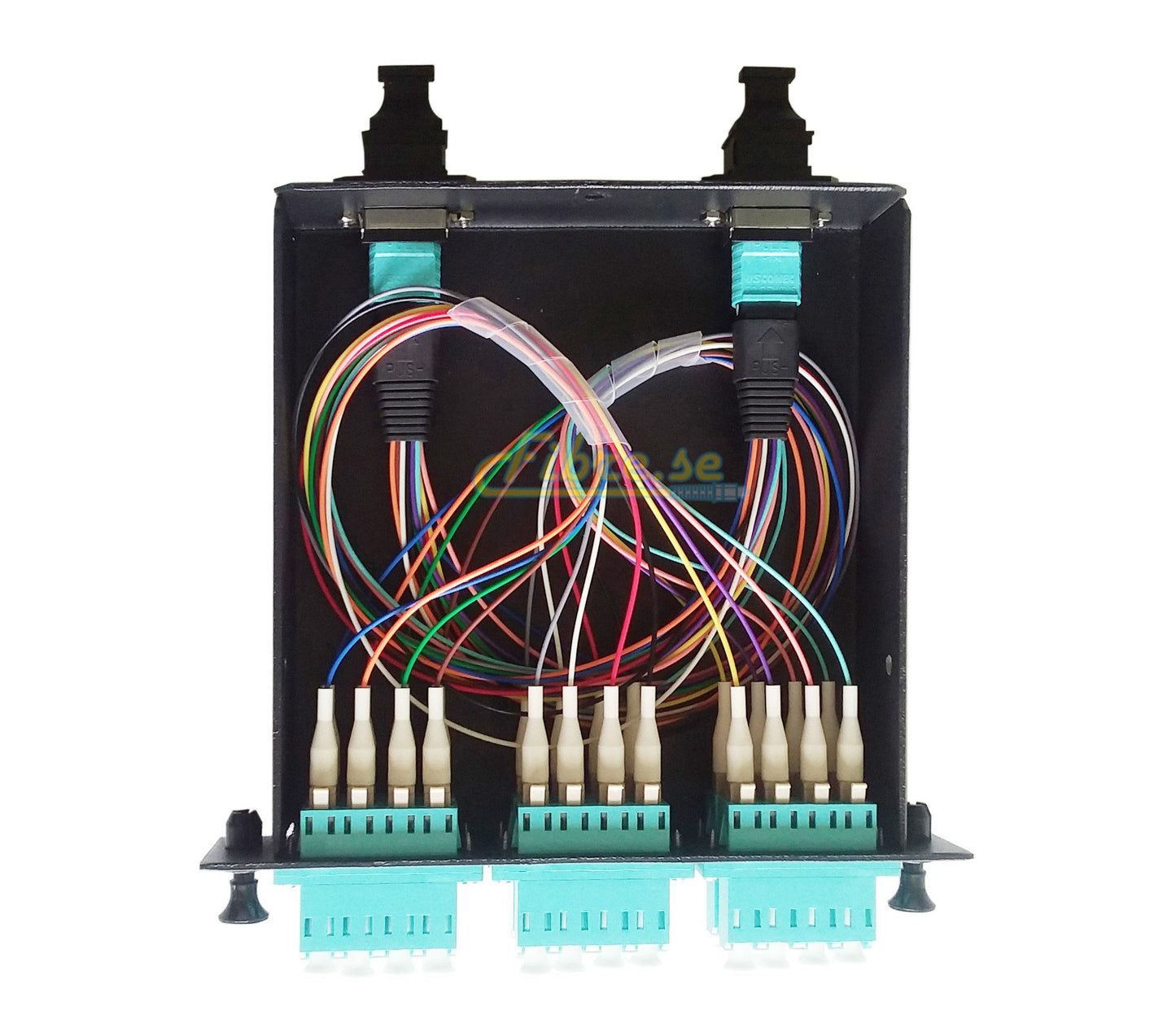 OM3 - 10G Multimode (50/125) - 24 Fiber MTP (female) to LC Duplex Cassette, Loaded