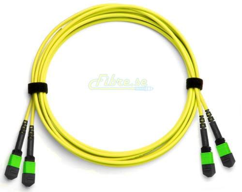 OS2 - Singlemode (9/125) - 24 Strand - Fiber Optic Cable - MPO to MPO - LSZH