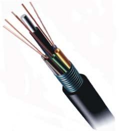 6 fiber loose tube armored 62.5/125 (price per foot) [video game]