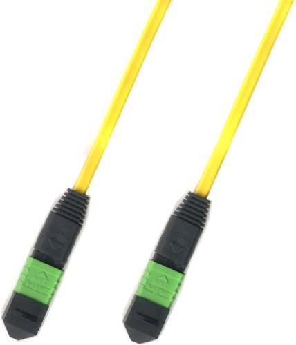 Singlemode 9/125 100m [ 100 Meter ] Mpo MTP Fiber Optic Cable 300FT