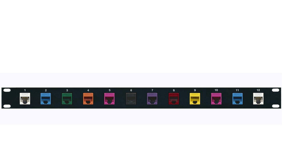 RiteAV Cat5e Ethernet Mixed Colors 12 Port Patch Panel