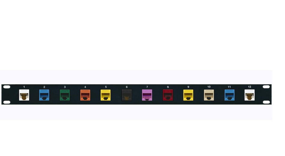 RiteAV Cat6 Ethernet Mixed Colors 12 Port Patch Panel