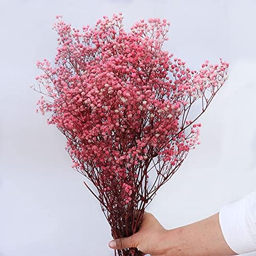Everlastings.se - Naturliga torkade blommor, Gypsophila, färska torkade konserverade blommor, Gypsophila Paniculata, blombuketter för bröllopsfest, heminredning