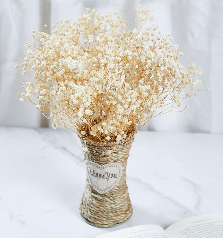 Everlastings.se torkade blommor, naturliga Gypsophila