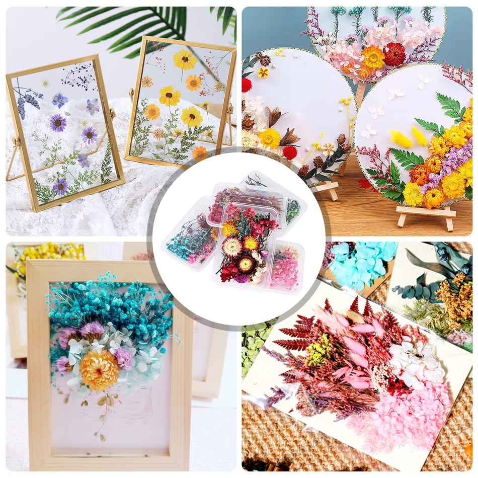 5 lådor med naturliga torkade blommor, torkade pressade blommor, epoxiharts torkade blommor, blandade torkade blommor för gör-det-själv-hantverk, fotodekoration, ljus