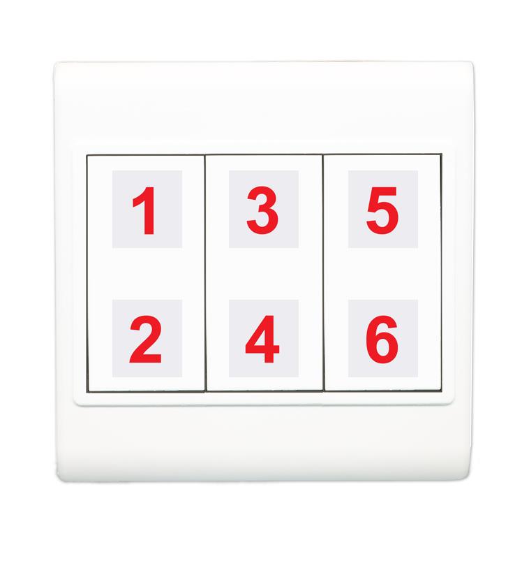 Custom Wall Plate