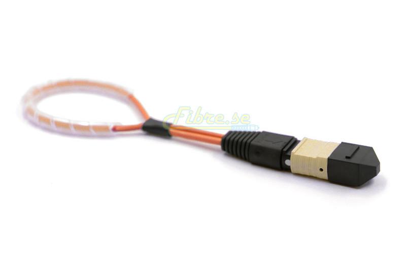 OM1 - Multimode (62.5/125) - 12 Strand MPO Fiber Optic Loopback