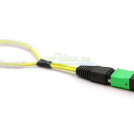 OS2 - Singlemode (9/125) - 12 Strand MPO Fiber Optic Loopback